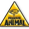 Programa Animal, profile picture