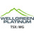 Wellgreen Platinum, profile picture
