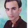 mahdi torkamani, profile picture