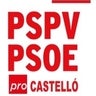 PSPV-PSOE pro Castelló, profile picture