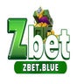 ZBET , profile picture