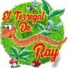 EL TERREGAL DE RAY, profile picture