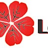 Red Leaves Solution Sdn Bhd, profile picture