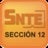 REGIÓN IV SECCIÓN XII SNTE, profile picture