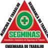 Segminas Consultoria, profile picture