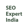 SEO Expert India Best Indian SEO Company, profile picture