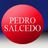 Pedro Salcedo, profile picture