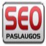 Seo Paslaugos, profile picture