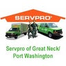 Servpro of Great Neck/Port Washington, profile picture
