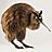Simon Gummer, profile picture
