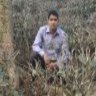 Shrif Reyad Profile