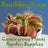 Southbay Carnivorous Plants, Garden Supplies & Hydro, profile picture