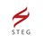 에스티이지 (STEG), profile picture