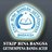 STKIP Bina Bangsa Getsempena, profile picture