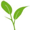 Sustinea Profile