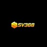 sv 368, profile picture