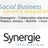 Synergie Informatique France, profile picture