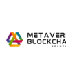 Metaverse Blockchain Solutions, profile picture