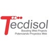 TecDiSol.com, profile picture