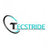 Tecstride, profile picture