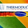 Thermodul Brasil, profile picture