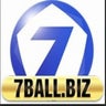 7ball biz, profile picture