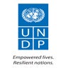 UNDP India, profile picture
