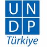 UNDP Türkiye, profile picture