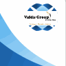 Valdis Group, profile picture