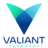 Valiant Technosoft, profile picture