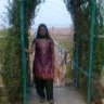 Varsha Phirke, profile picture