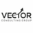 Vector Consulting Group, profile picture