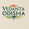 Vedanta Odisha, profile picture