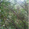 Vijay Harikumar Profile