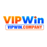 vipwin company, profile picture
