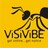 visivibe, profile picture