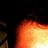 Vitor Paisante, profile picture