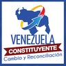 Venezuela Constituyente, profile picture