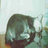 Wan Hussain Wan Ishak, profile picture