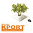 web_kport, profile picture
