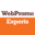 Академия интернет-маркетинга «WebPromoExperts»