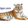 webshoptiger, profile picture