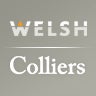 Welsh & Colliers International | Minneapolis-St. Paul, profile picture