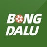 BONGDALU , profile picture