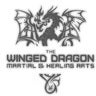 The Winged Dragon Martial & Healing Arts, profile picture