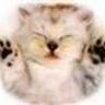 SlideShare profile picture for @winkle