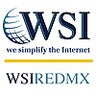 WSI RED  MÉXICO, profile picture