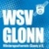 wsv-glonn, profile picture