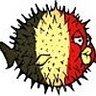Xavier Mertens, profile picture