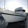 Newport Yacht Rental, profile picture
